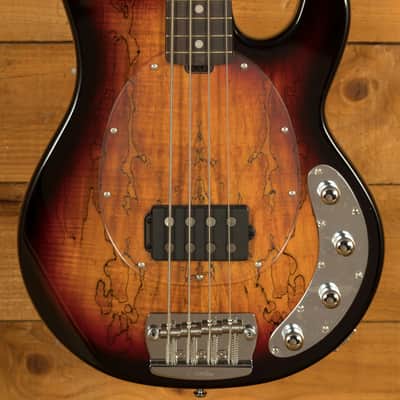 Sterling RAY34SM StingRay Bass - Spalted 3-Tone Sunburst image 1