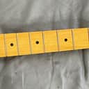 Fender American Pro II Stratocaster Neck Maple Fingerboard Fender USA