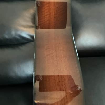 Taylor 517e Grand Pacific 2024 - Torrefied spruce top, Urban bark sides and back with shaded edge burst image 11