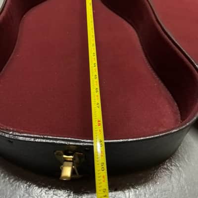 Unbranded Bass Hard Case (Used) image 7