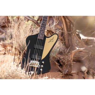 Gibson Rex Brown Pantera Signature Thunderbird Bass image 14