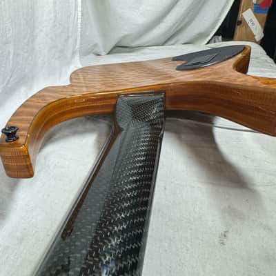 Parker USA FB-5 fb5 Fly 5-string Bass image 24