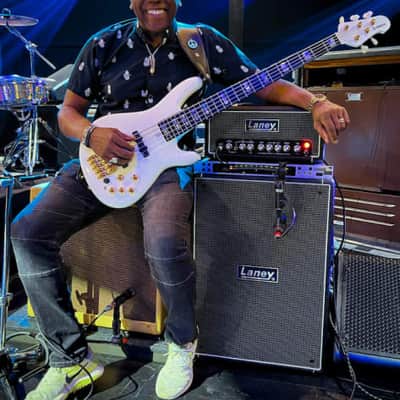 Laney DIGBETH DB500H 500 W Bass amplifier head with FET and Tube tones in a Compact powerful Amp image 8
