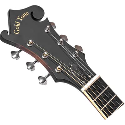 Gold Tone F-6 F-Style 6-String Guitar Mandolin image 4