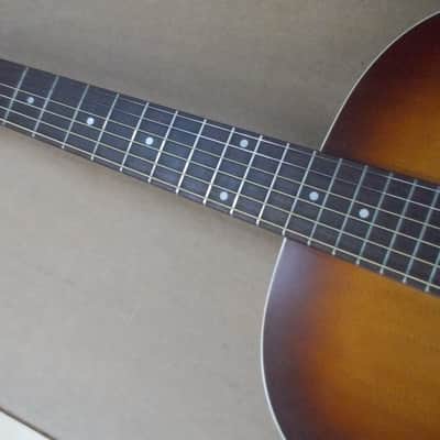 Seagull Entourage Rustic Dreadnought Acoustic Guitar Player!! image 4