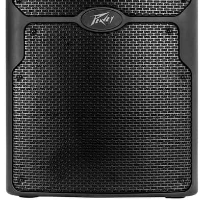 Peavey TLS-5 Passive Speaker (Huntington, NY) | Reverb