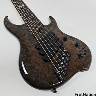 Dingwall Z3 6-String Bass Maple Burl Passive 6-Way Rotary 9.42lbs #6673 image 5