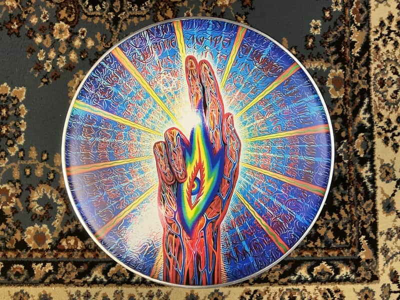 Remo 22” TOOL Danny Carey THE THIRD EYE 👁️ Bass Drum Head image 1
