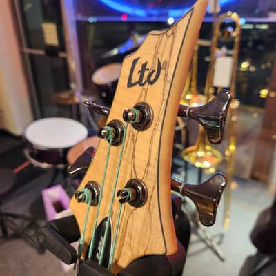 ESP LTD B-204SM Fretless image 3
