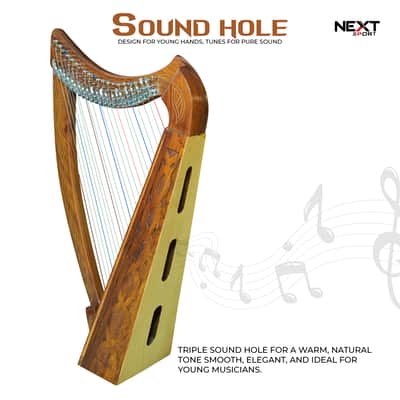 22 String Lever Harp Rosewood + Bag, Tuning Key & Extra Strings | Celtic Folk Harp Pro Quality image 4