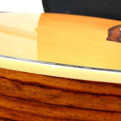 Zager Zad-80ce acoustic electric guitar cutaway w/ Zager Case image 9