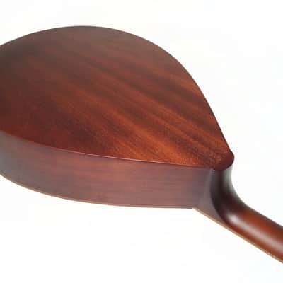 Original New Ukrainian Bass Guitar 4 Strings Folk Kobza Lute Wooden Quality Musical Instrument Trembita Powerful Sound! image 7