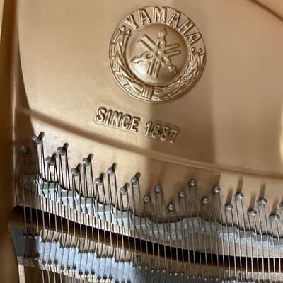 Yamaha C1 PIANOFORTE MEZZA CODA NERO image 6