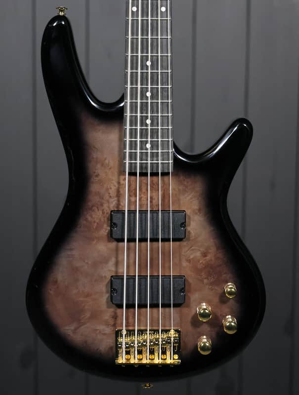 Ibanez GSR205PC image 1