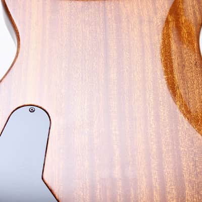 PRS USA Artist Package 20TH Anniversary Custom 22 "Brazillian Rosewood + Natural Burst" (2005) image 23