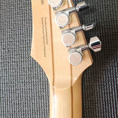 Immagine Ibanez Pgm 80P - 4