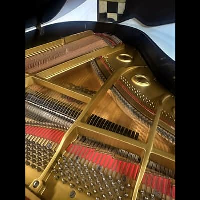 Wurlitzer Baby Grand Piano 5'2" Glossy Black Beautiful Tone image 7