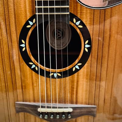 Bigfoot India Mod D Guitar w/ Sinker Cedar & OHSC (Ex Jason Kostal) image 3