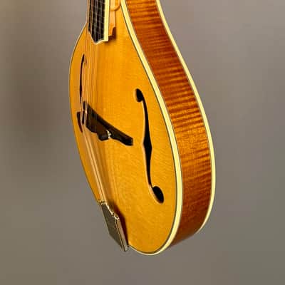 Bourgeois M5A Mandolin - Natural image 7