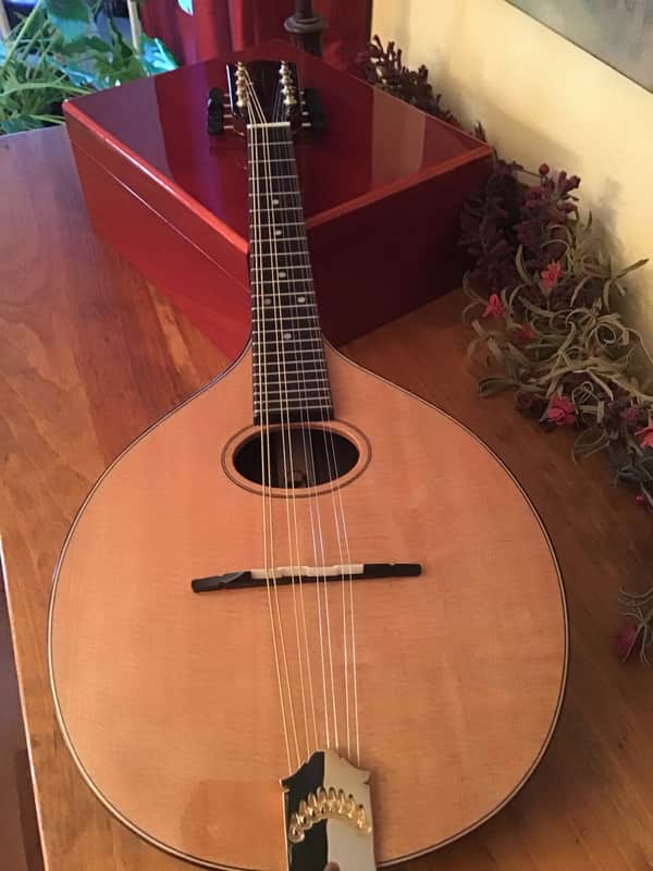 Rare Trinity College TM450, Carved Top, Solid Wood, Celtic Mandolin image 1