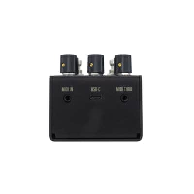 Walrus Audio Mako Series MKII: R1 High-Fidelity Reverb image 4