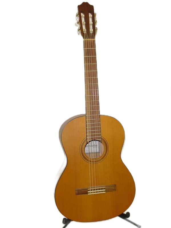 Cordoba CP110 Iberia Series Nylon String Classical Acoustic Guitar image 1