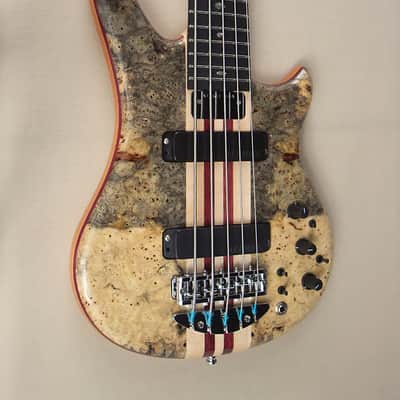 Alembic Custom Essence 5 String Buckeye Burl image 4
