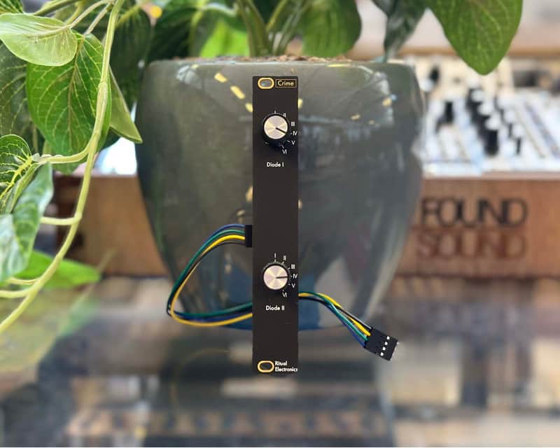 Ritual Electronics Crime I