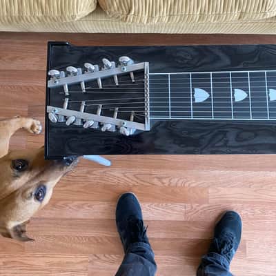 Carter Starter Pedal steel image 2