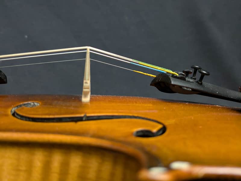 German-Japanese 4/4 Violin ca. 1900s | Reverb
