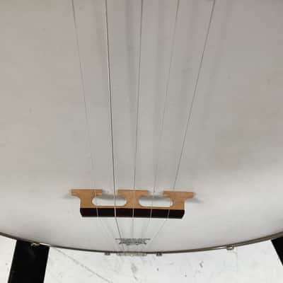 Recording King 5 String Open Back Banjo image 6