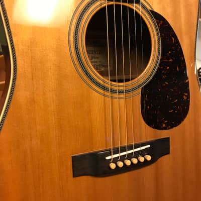 1976 Alvarez Yairi DY-57 image 10