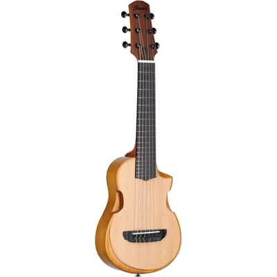Ibanez AUP10N Tenor Ukulele (with Gig Bag), Open Pore Natural image 2