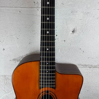 Altamira M30 with gig bag image 6
