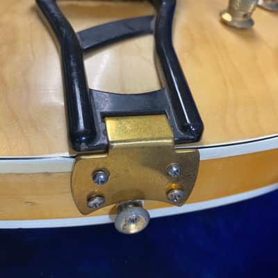 1960's Crucianelli Elite ES-335 - HSC Included! image 10