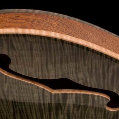 PRS John Mayer Super Eagle II 2017 Hemp Green image 23