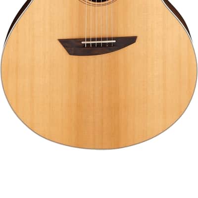 Ibanez PA230E Acoustic/Electric Guitar- w/free restriring and pro setup image 1
