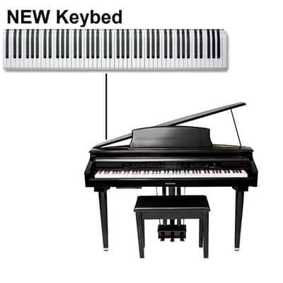 Suzuki MDG-300 Keybed image 1