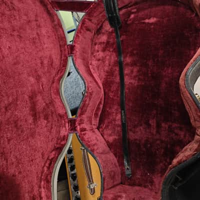 Gretsch 6119 Chet Atkins Tennessean 1963 Walnut Brown image 21