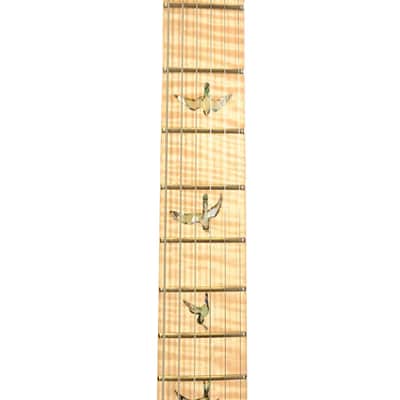 PRS Wood Library DGT Electric Guitar with Bird Inlays - Jade image 13