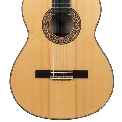 Dirk Janssen D30 Magma Concert Brazilian Rosewood 2014 image 1