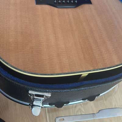 1979 Fender F-80-12 • Near-Mint • All-Original • No Belly • Pro Setup image 2