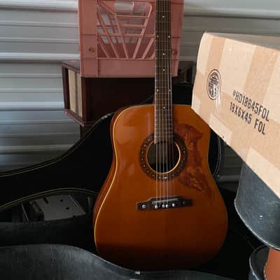 1970 Eko Ranger 6 Six String Acoustic Guitar image 1