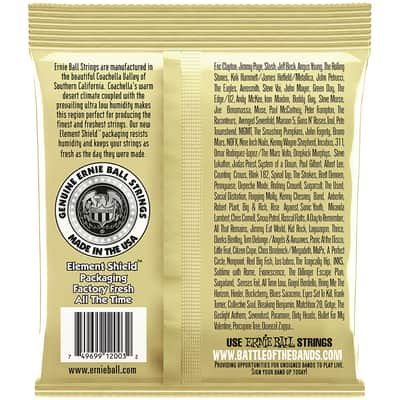 Ernie Ball Earthwood EB2003 .012-054 image 2