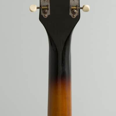 Airline  Model 7227 Arch Top Hollow Body Electric Guitar (1961), original two-tone soft shell case. image 6