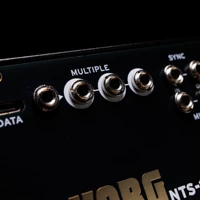 NTS-1 MKII Eurorack Conversion Faceplate Kit for Korg Nu:Tekt digital Synthesizer image 5