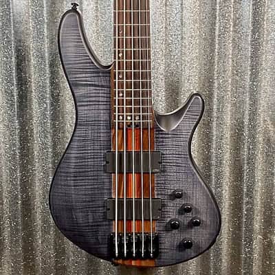 Schecter Charles Berthoud CB-5 See Through Black Satin EMG 5 String Bass #2510 image 1