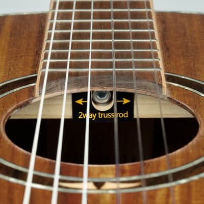 Ortega RE30TH-ACA 30th Anniversary Series AAA Acacia Top Nato Neck Nylon 6-String Classical Acoustic-Electric Guitar w/Gig Bag image 13