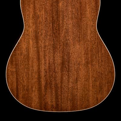 Taylor Gold Label 517e - Sunburst #95022 (NAMM 2026) image 2