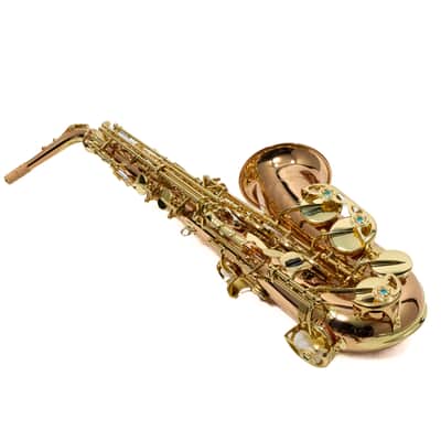 Yanagisawa Model AWO2 Bronze Professional Alto Saxophone MINT CONDITION image 17